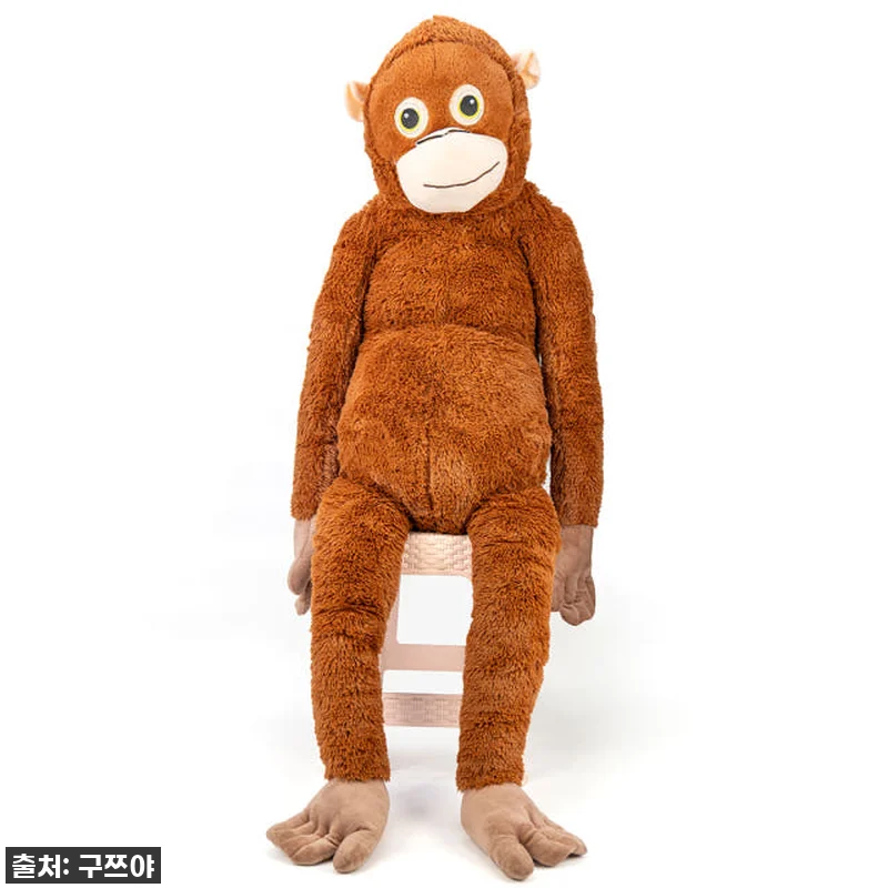 아이 방에 나타난 오랑우탄?! 구쯔야 관련 이미지 5