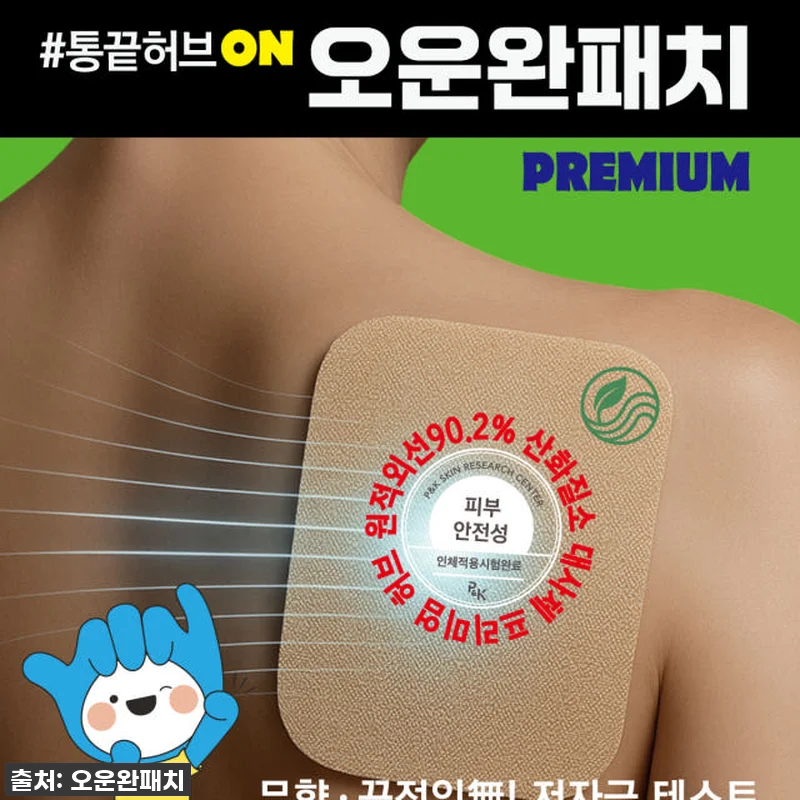 이슈템 찐후기! 오운완패치 LM30매 관련 이미지 6