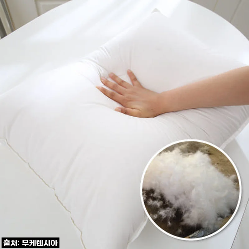 절대 후회 안 할 걸? 브리즈우드가든 폴란드 구스다운 베개, 제가 직접 써보니…!