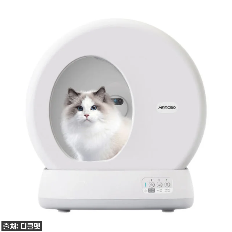 우리 집 냥이 화장실 고민 끝! 디클 관련 이미지 1