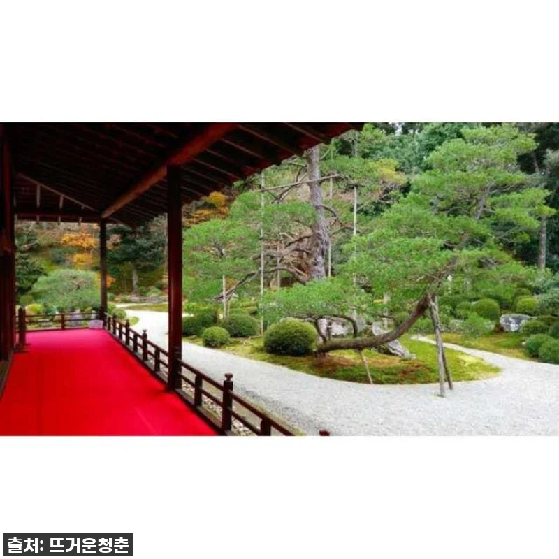일본 교토: 일본 정원 개인 맞춤형 관련 이미지 1