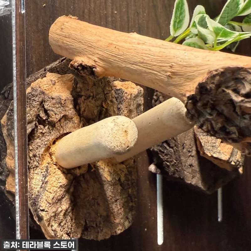 우리집 크레가 행복해졌어요! 테라블록 관련 이미지 3