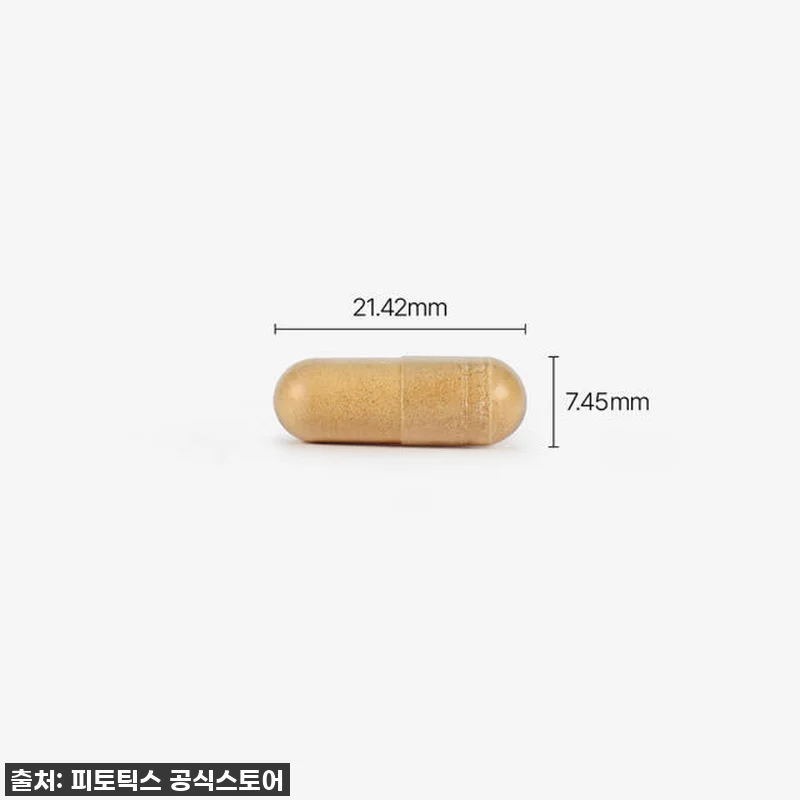 피토틱스 블랙 밀크씨슬 간 건강 유산 관련 이미지 3