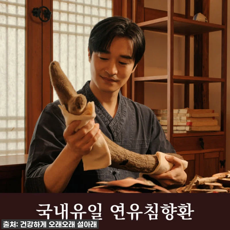 설아래 연유 침향환, 지친 일상에 활 관련 이미지 4