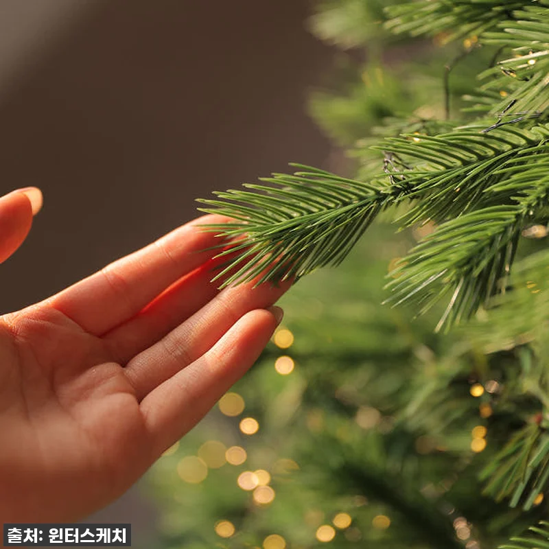 윈터스케치 크리스마스 대형 PE 전나 관련 이미지 4