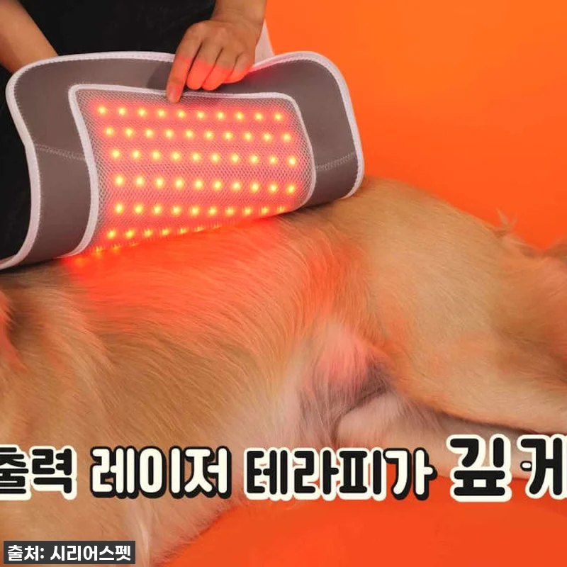 시리어스펫 슬개골 따땃패드 프로 강아 관련 이미지 5