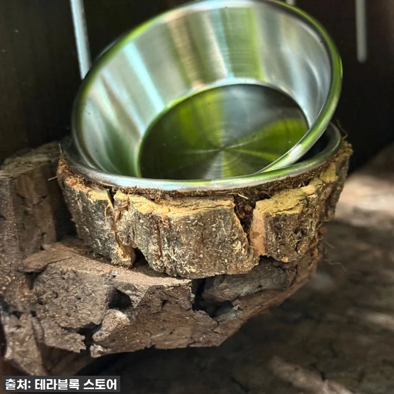 우리집 크레가 행복해졌어요! 테라블록 관련 이미지 5