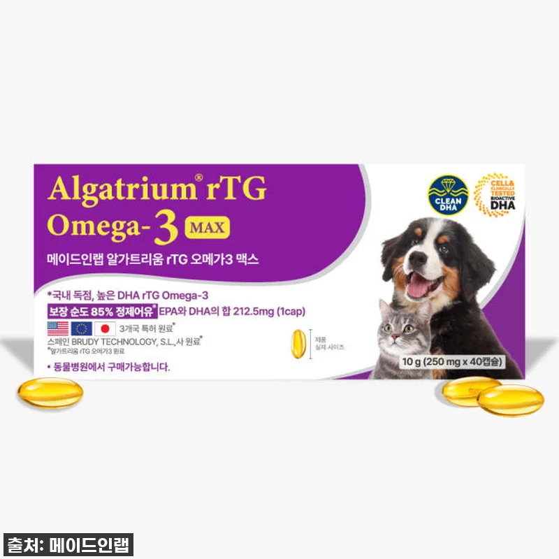 우리 아이 눈물 자국 고민 끝! 강아 관련 이미지 5