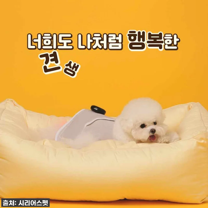 우리 강아지 관절 건강 지킴이! 시리 관련 이미지 5