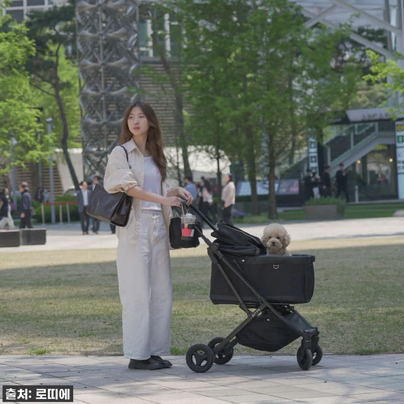로띠에 노블레스돔에어 일체형 돔A 강 관련 이미지 5