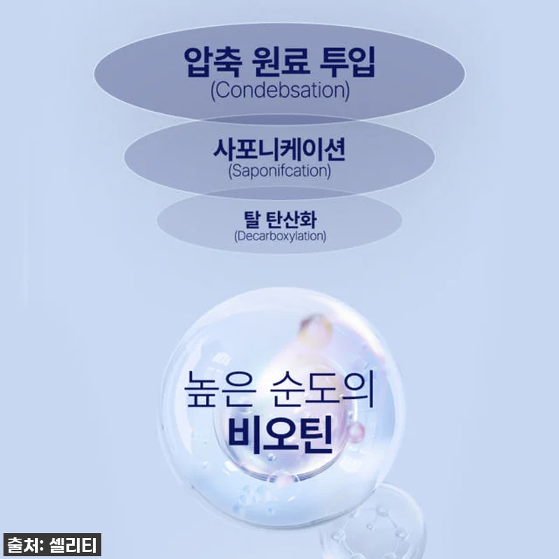 셀리티 비오프랑 비오틴 판토텐산 맥주 관련 이미지 5