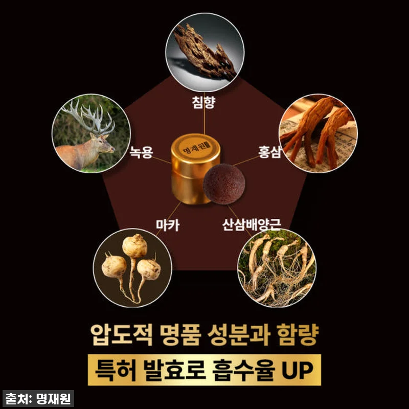명재원 발효 침향환 산삼 침향환 박스 관련 이미지 4