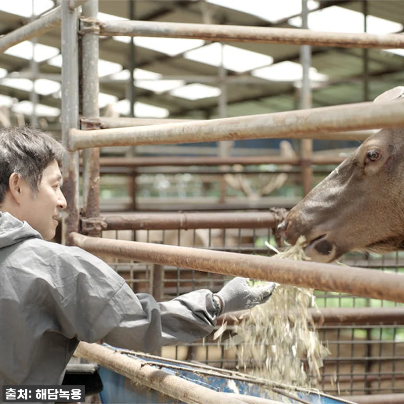 환절기 비염, 이젠 걱정 없어요! 러 관련 이미지 5