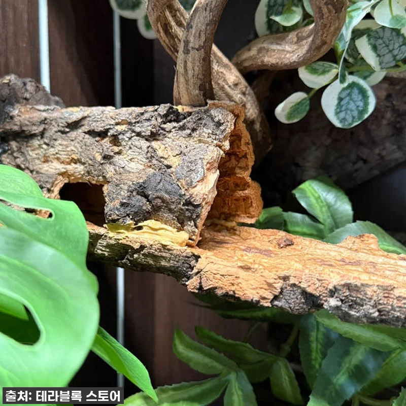우리집 크레가 행복해졌어요! 테라블록 관련 이미지 7