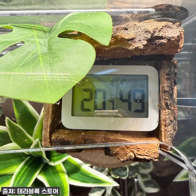 우리집 크레가 행복해졌어요! 테라블록 관련 이미지 8