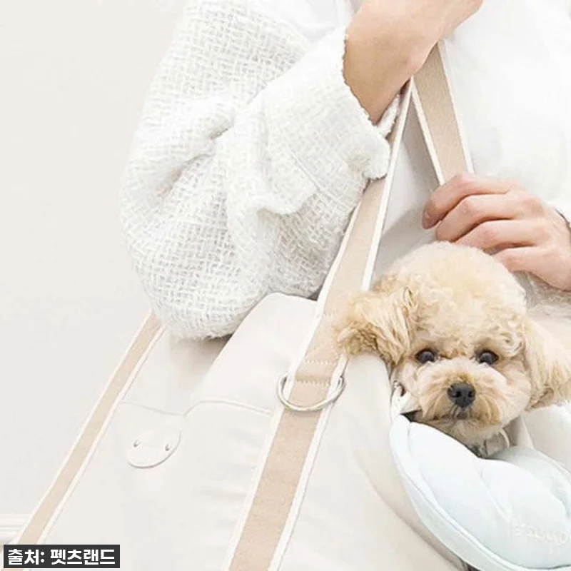 강아지 슬링백 이동 가방 애견 반려견 관련 이미지 10