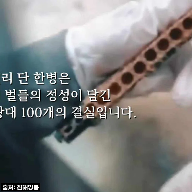 피곤함과 이별! 진해양봉 생로얄제리 국산 50g, 꾸준히 먹어본 솔직 후기