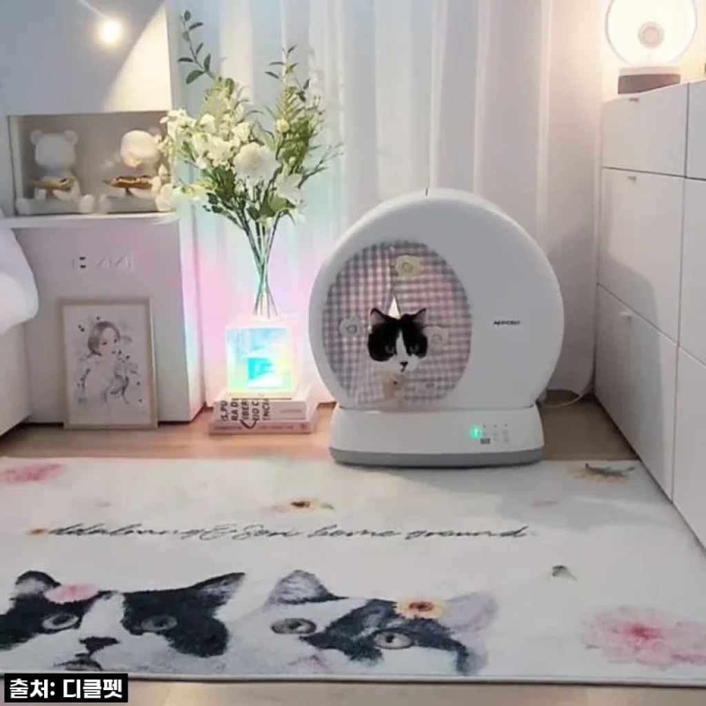 우리 집 냥이 화장실 고민 끝! 디클펫 고양이 자동 화장실 에어로보 C10 Pro 사용 후기