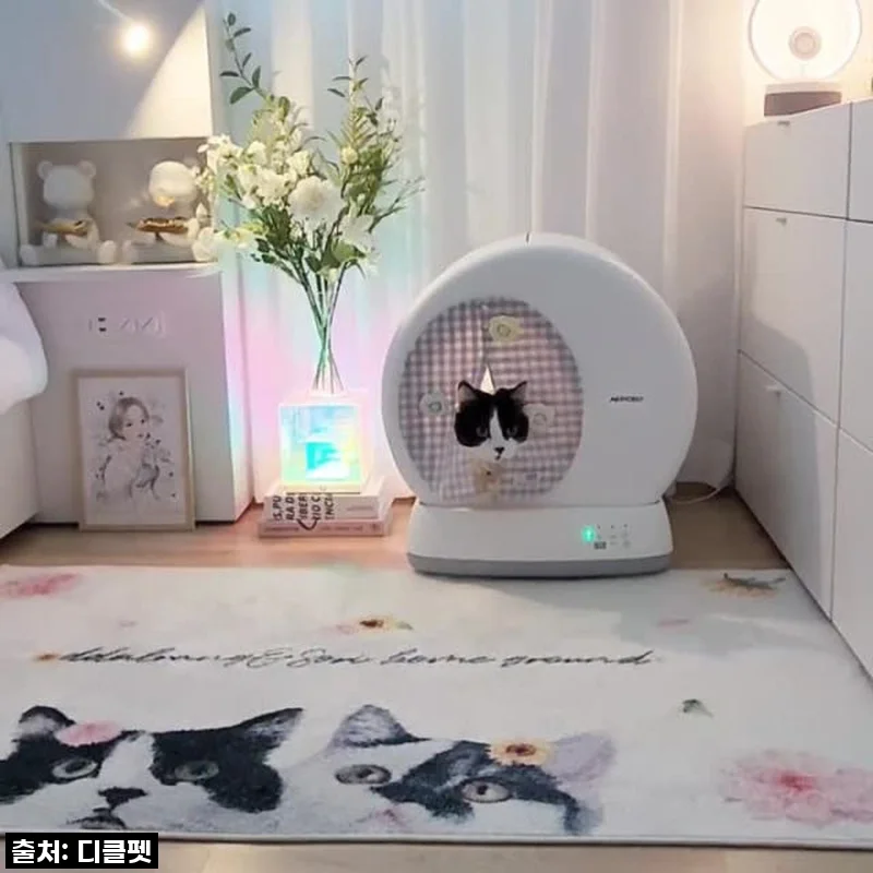 우리 집 냥이 화장실 고민 끝! 디클펫 고양이 자동 화장실 에어로보 C10 Pro 사용 후기