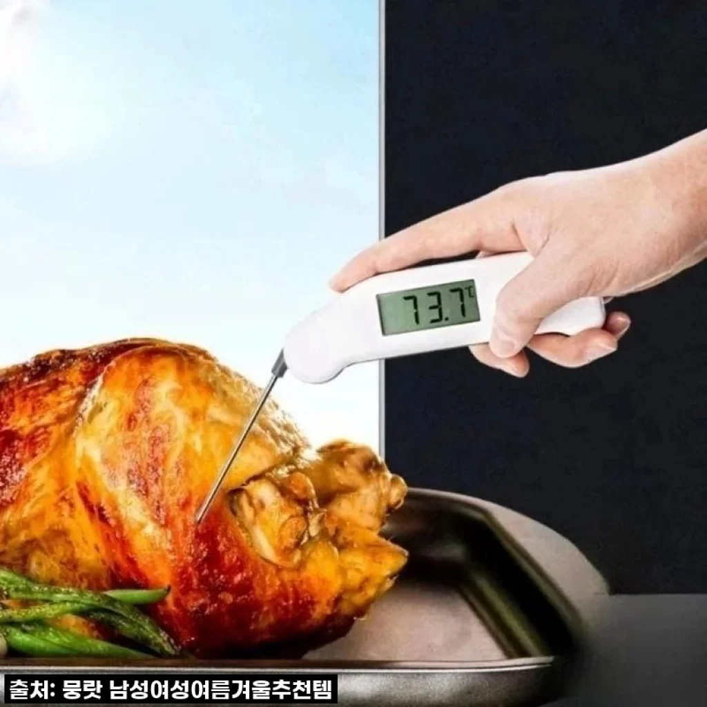 방수 식품 온도계 사용후기: 고기부터 이유식, 제빵까지 전문가용으로 딱!