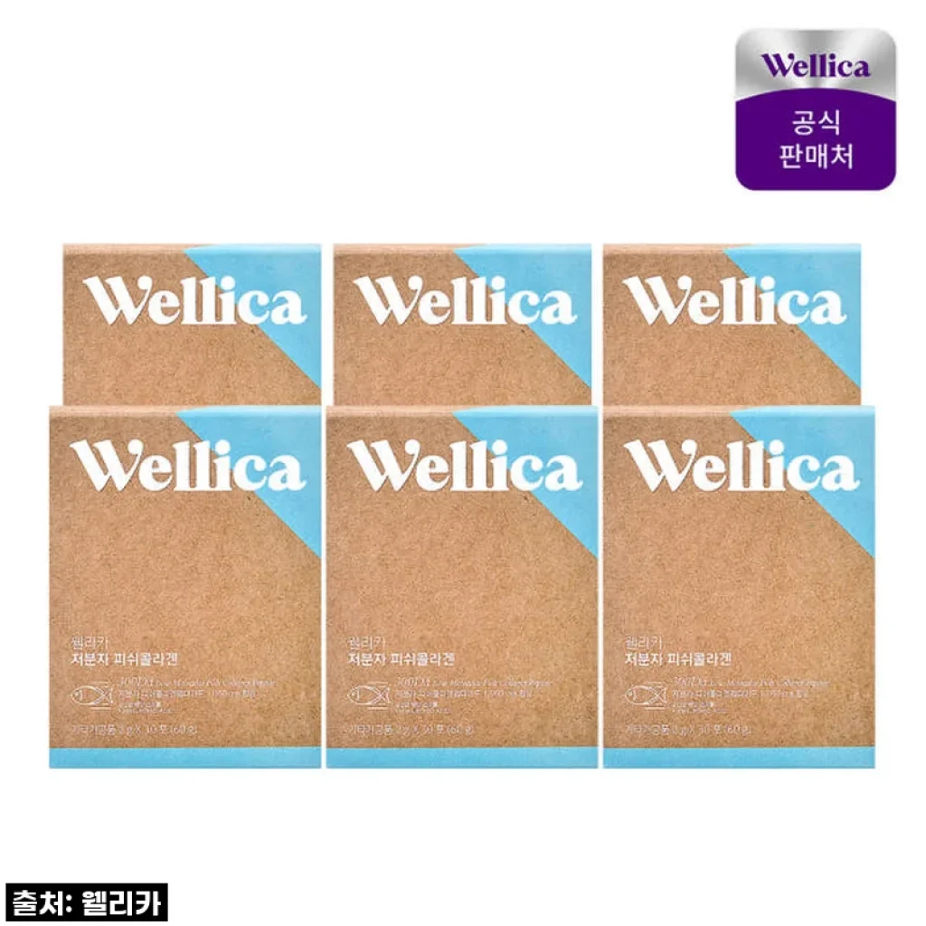 웰리카 초저분자 300달톤 어린 저분자 피쉬 콜라겐 펩타이드 엘라스틴 30포 6개 사용 후기