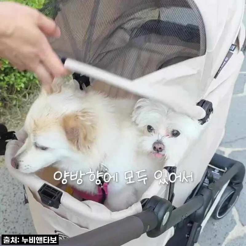 오토폴딩 강아지유모차 NUVY 누비 펫유모차 사용후기, 직접 써보니 산책이 훨씬 즐거워졌어요!