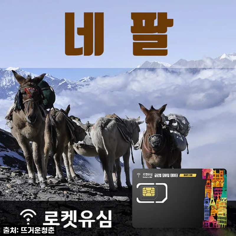 네팔 여행 필수품, 로켓유심 매일 500MB 무제한 데이터 26일 플랜 사용후기