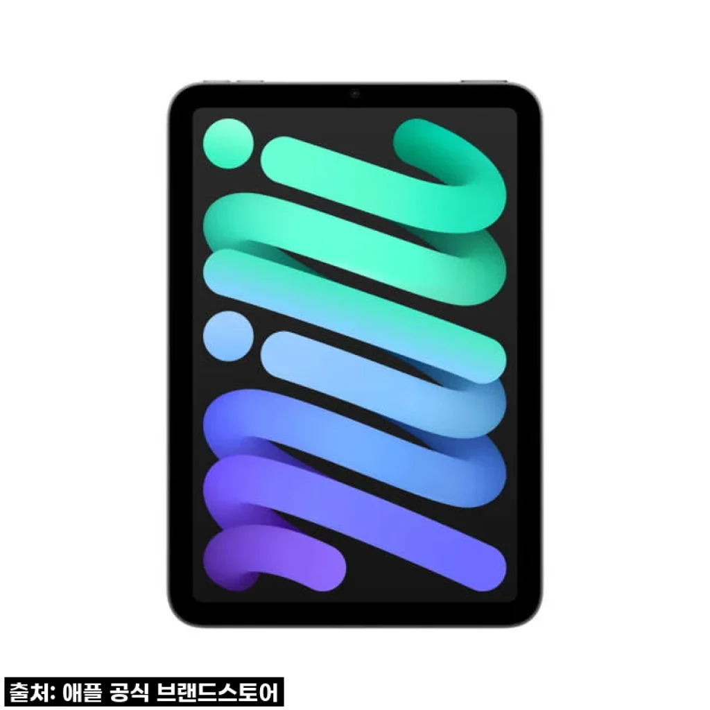 Apple 아이패드 미니 7세대 Wi-Fi 스페이스그레이 128GB 사용 후기