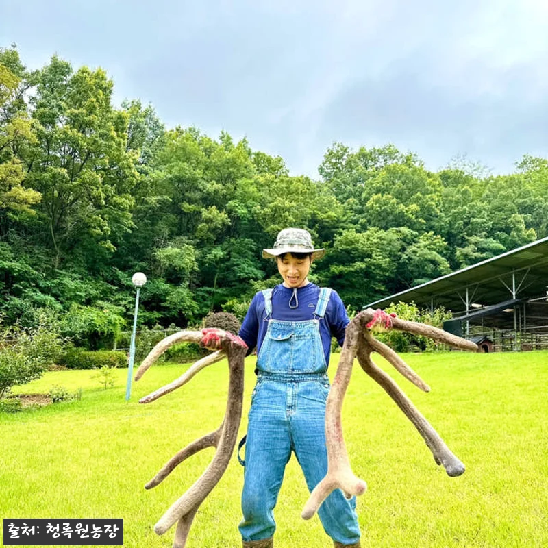 이해관계문구
