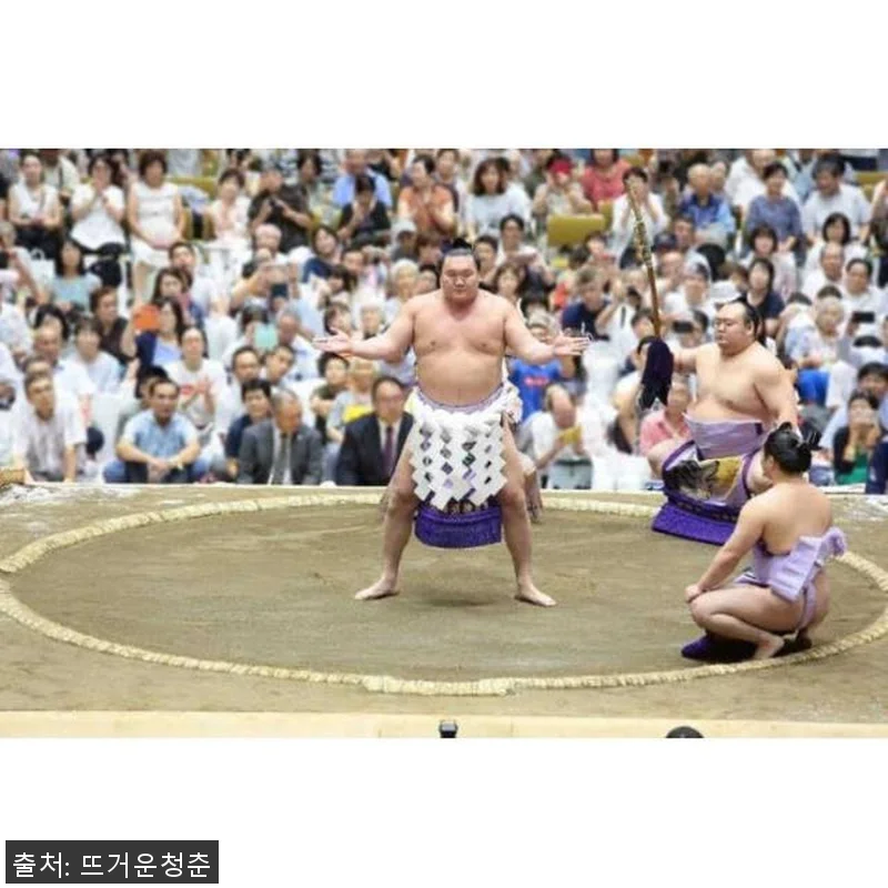 일본 도쿄 그랜드 스모 토너먼트 투어 관련 이미지 1