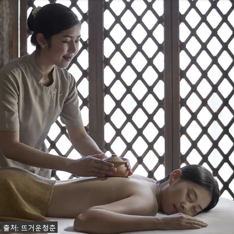 태국 방콕 만다린 오리엔탈 호텔 오리 관련 이미지 1
