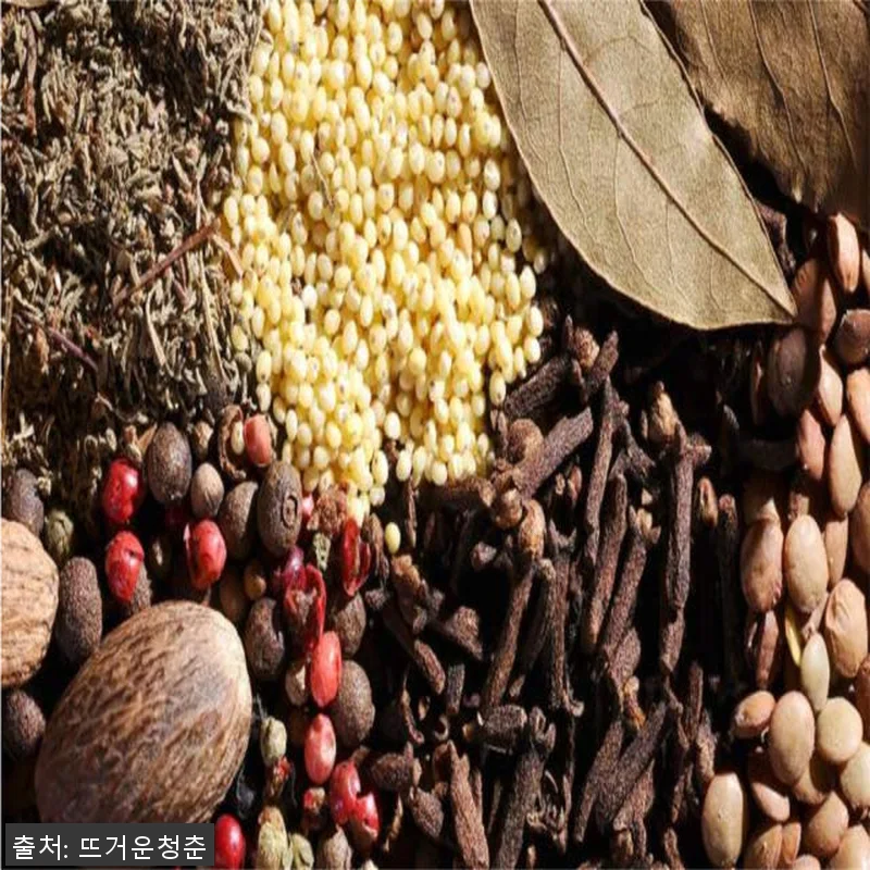싱가포르 포트 캐닝 향신료 프라이빗 관련 이미지 1