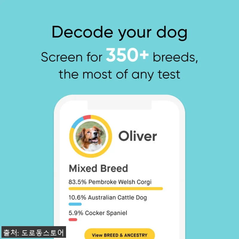 Embark 강아지 DNA 검사 키트 관련 이미지 1