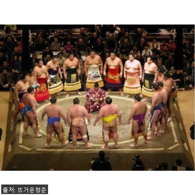 일본 도쿄 그랜드 스모 토너먼트 투어 관련 이미지 2