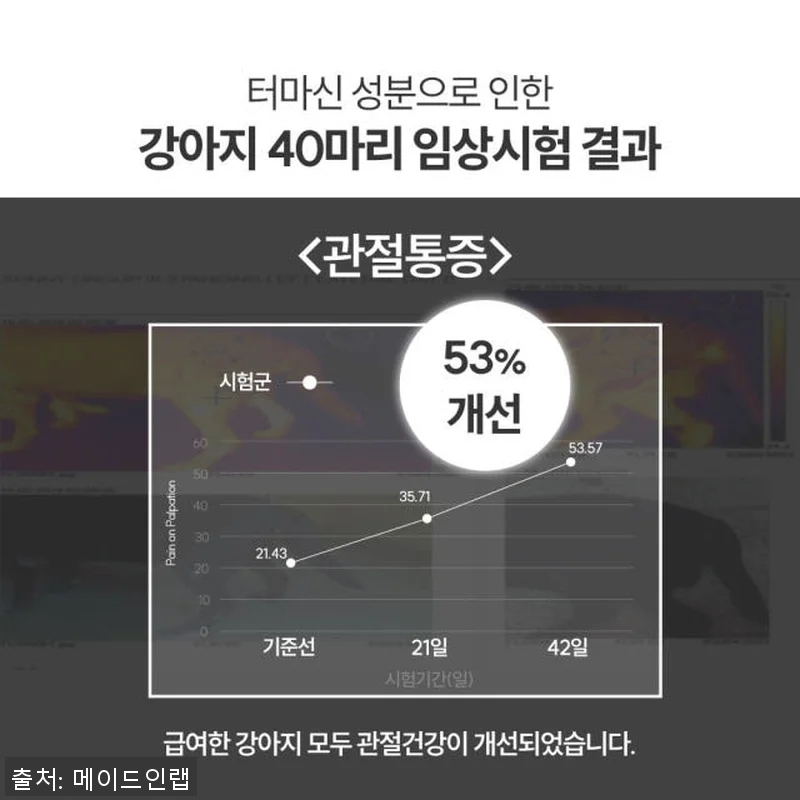 강아지 관절 건강에 도움 되는 터마신 관련 이미지 2