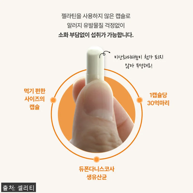 셀리티 프로피오 다니스코 유산균 30 관련 이미지 2