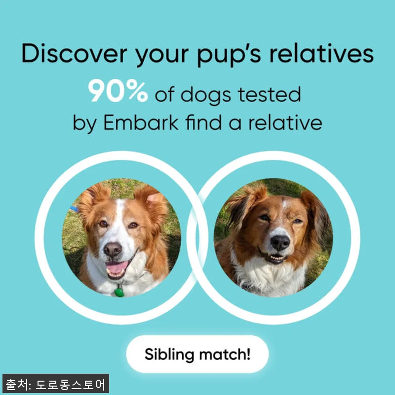 Embark 강아지 DNA 검사 키트 관련 이미지 2