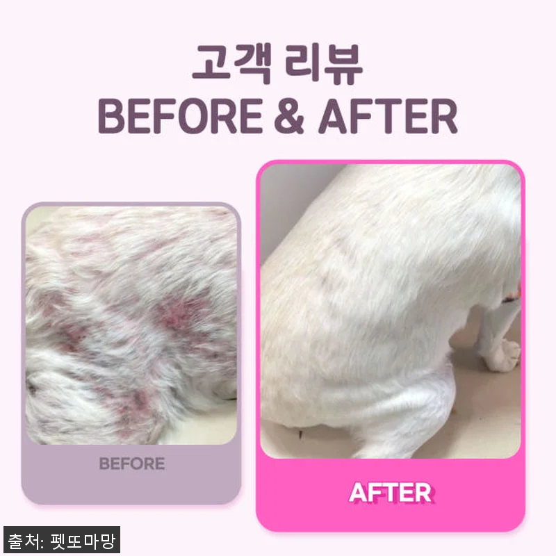 펫또마망 프리미엄 강아지 영양제 사용 관련 이미지 2