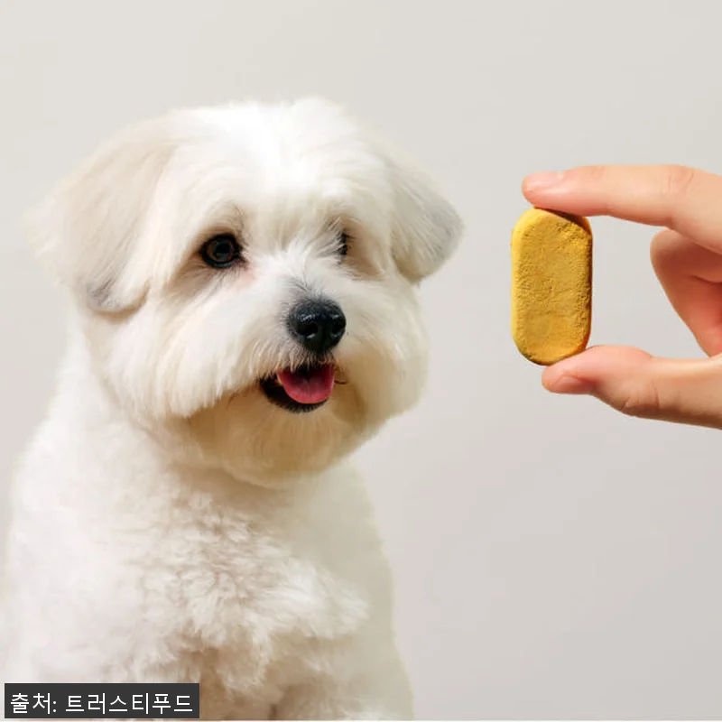 트러스티푸드 동결건조 저알러지 한방캡 관련 이미지 2