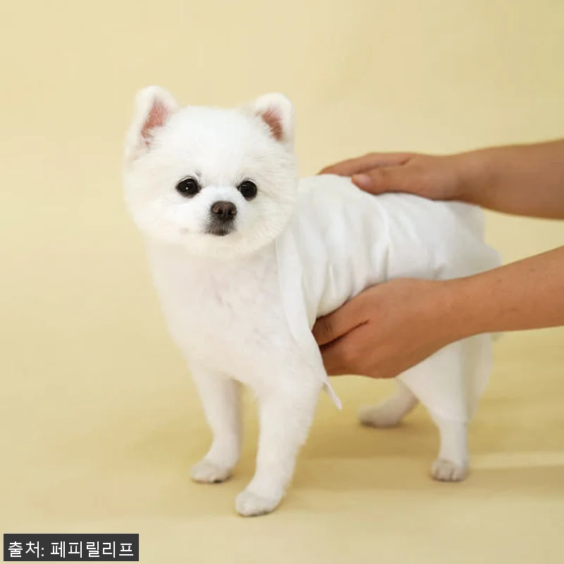 페피릴리프 강아지 물티슈 5팩 사용후 관련 이미지 3