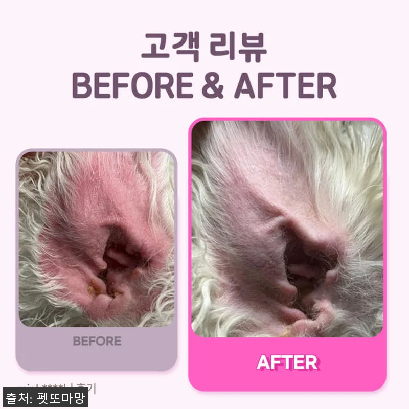 펫또마망 프리미엄 강아지 영양제 사용 관련 이미지 3