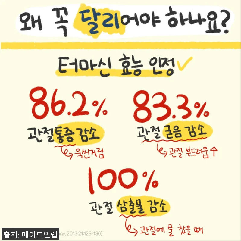 강아지 관절 건강에 도움 되는 터마신 관련 이미지 4