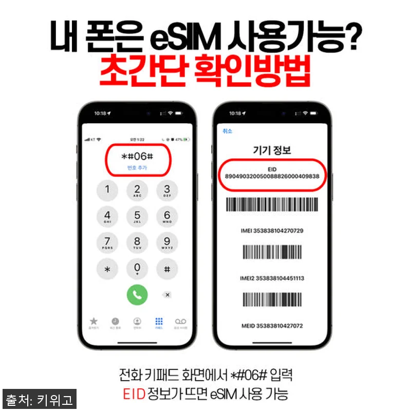 키위고 몰디브 싱가포르 말레이시아 e 관련 이미지 4