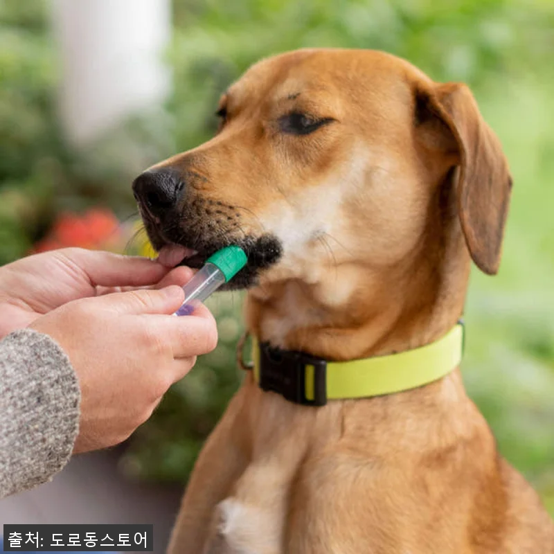 Embark 강아지 DNA 검사 키트 관련 이미지 4