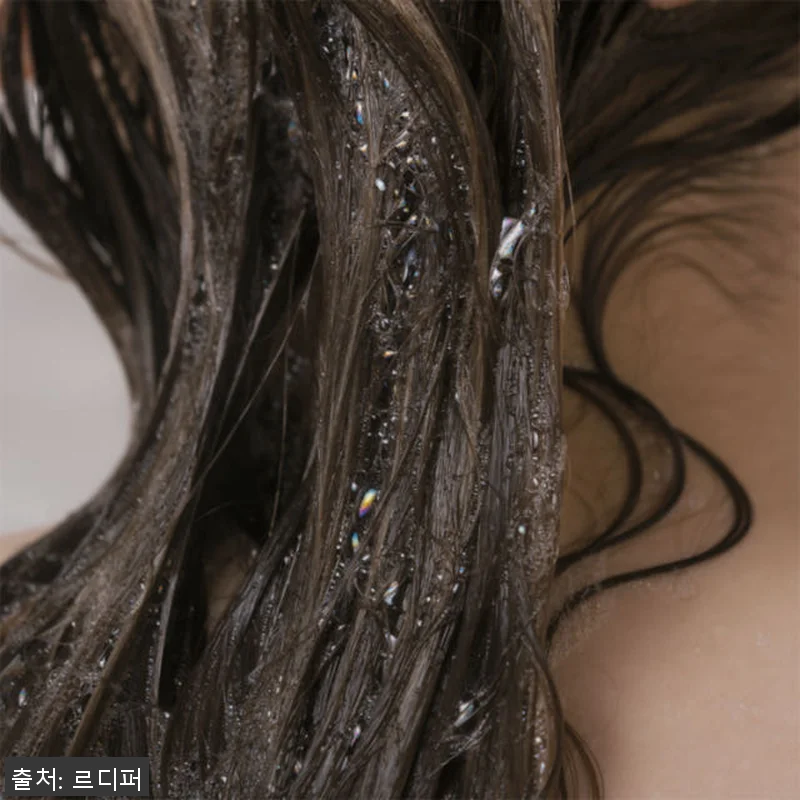 르디퍼 프리미엄 디퍼 샴푸 310ml 관련 이미지 4