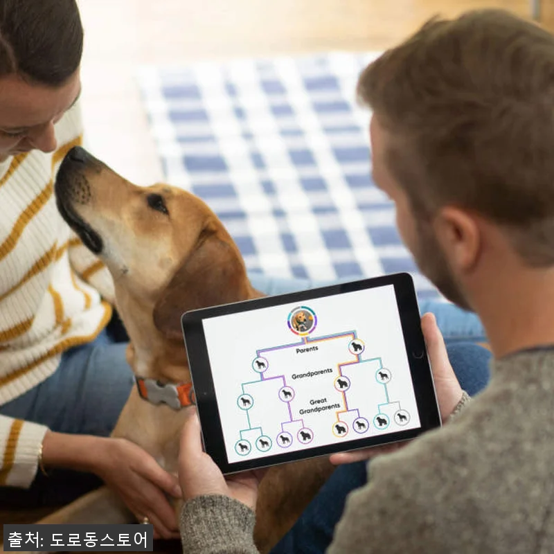 Embark 강아지 DNA 검사 키트 관련 이미지 5
