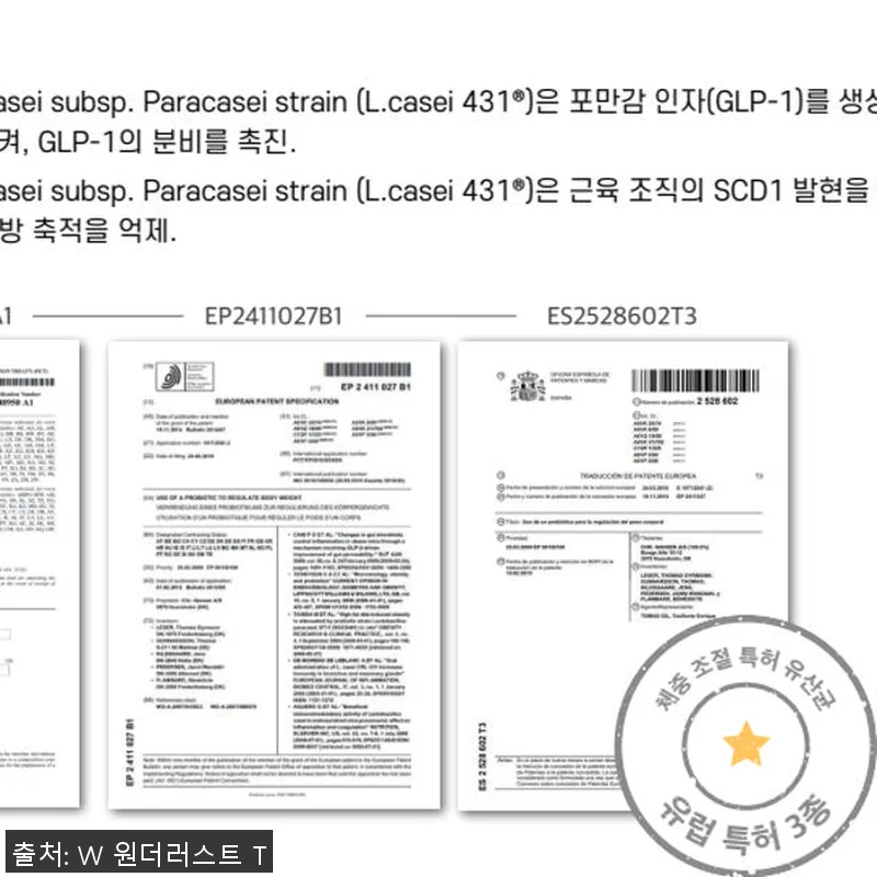 위고풀 국제 특허 3종 원료 소식좌를 관련 이미지 5