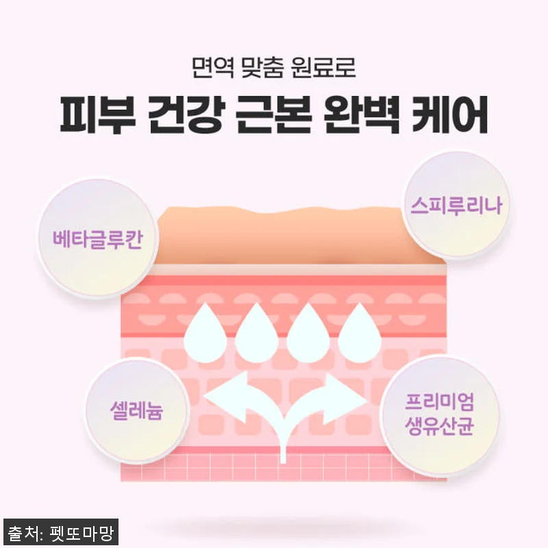 펫또마망 프리미엄 강아지 영양제 사용 관련 이미지 5