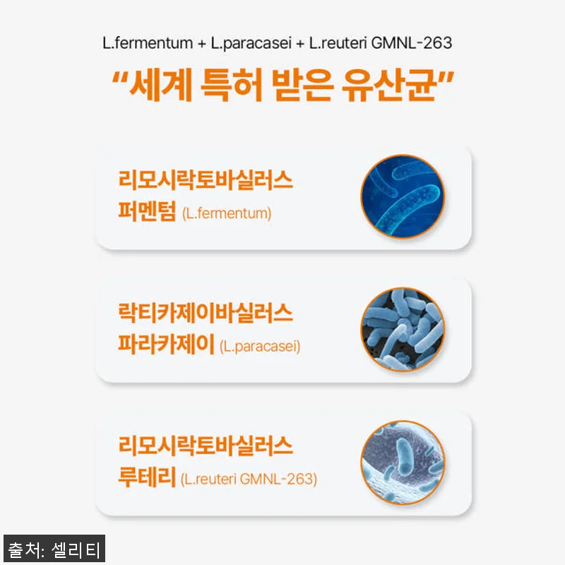 셀리티 프로피오 다니스코 유산균 30 관련 이미지 6
