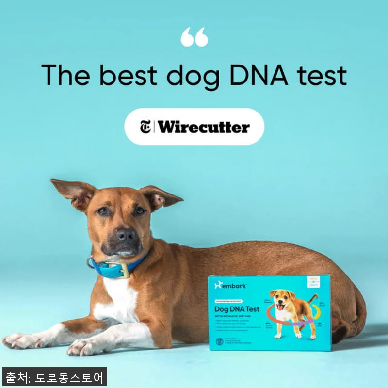 Embark 강아지 DNA 검사 키트 관련 이미지 6